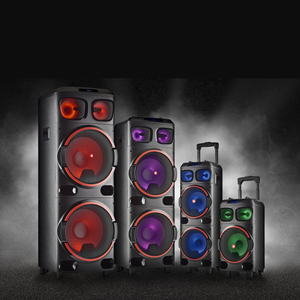 NGS PREMIUM SPEAKER