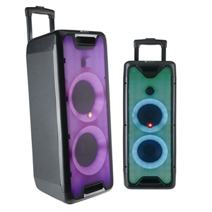 Hauts-parleurs, NGS PREMIUM PORTABLE SPEAKER