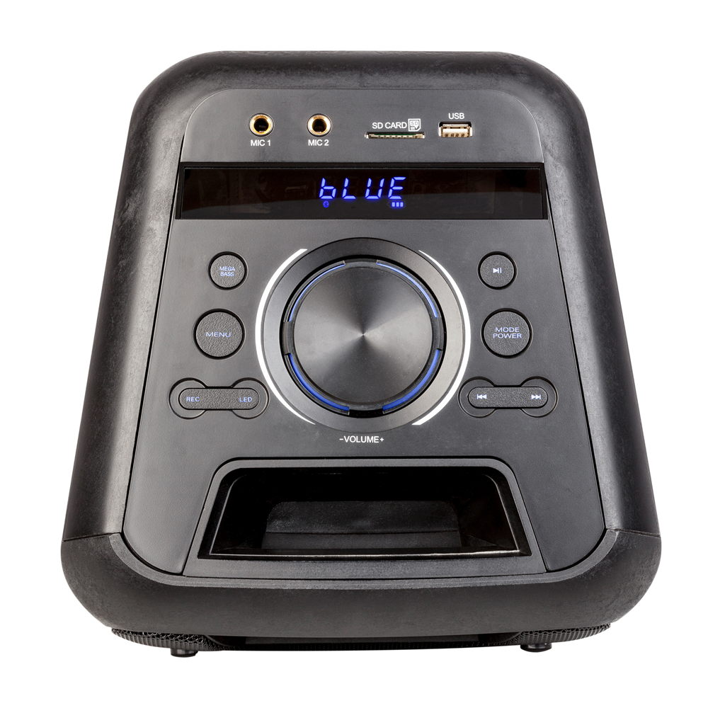 altoparlante Karaoke Portatile Bluetooth HiFi con microfono Grande potenza con radio FM luce LED per feste 